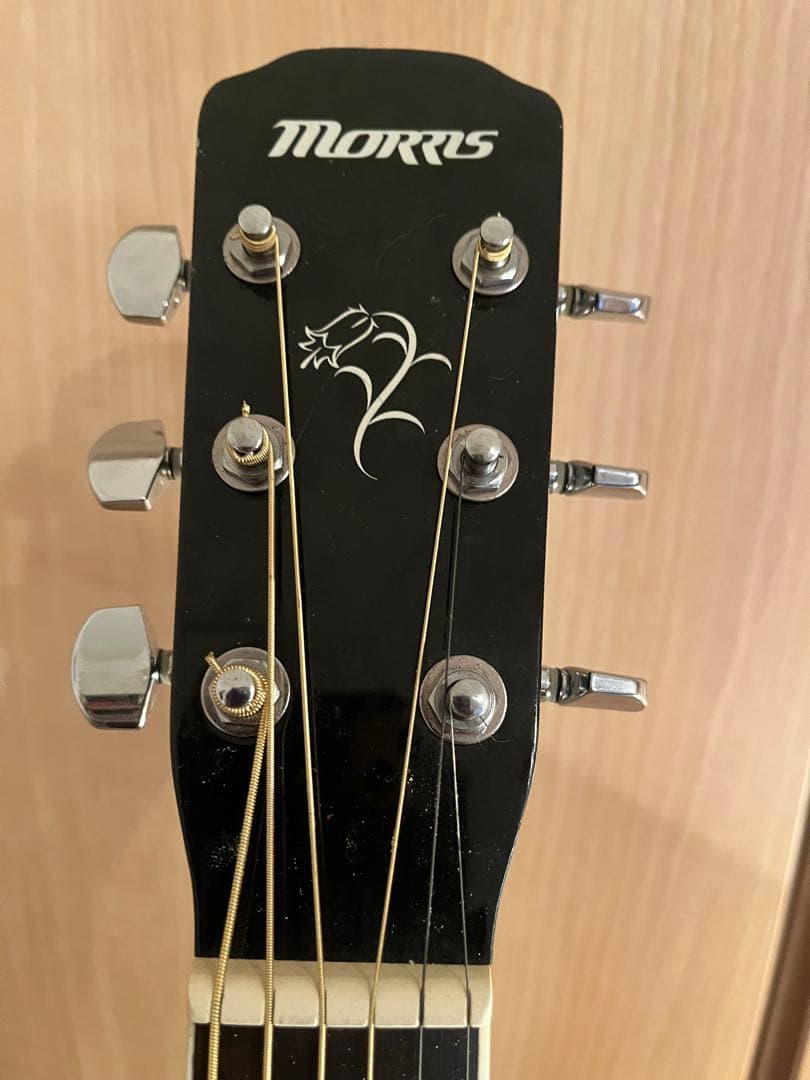 Morris FC-2III BLK ブラック／エレアコ／ギグバッグ付き