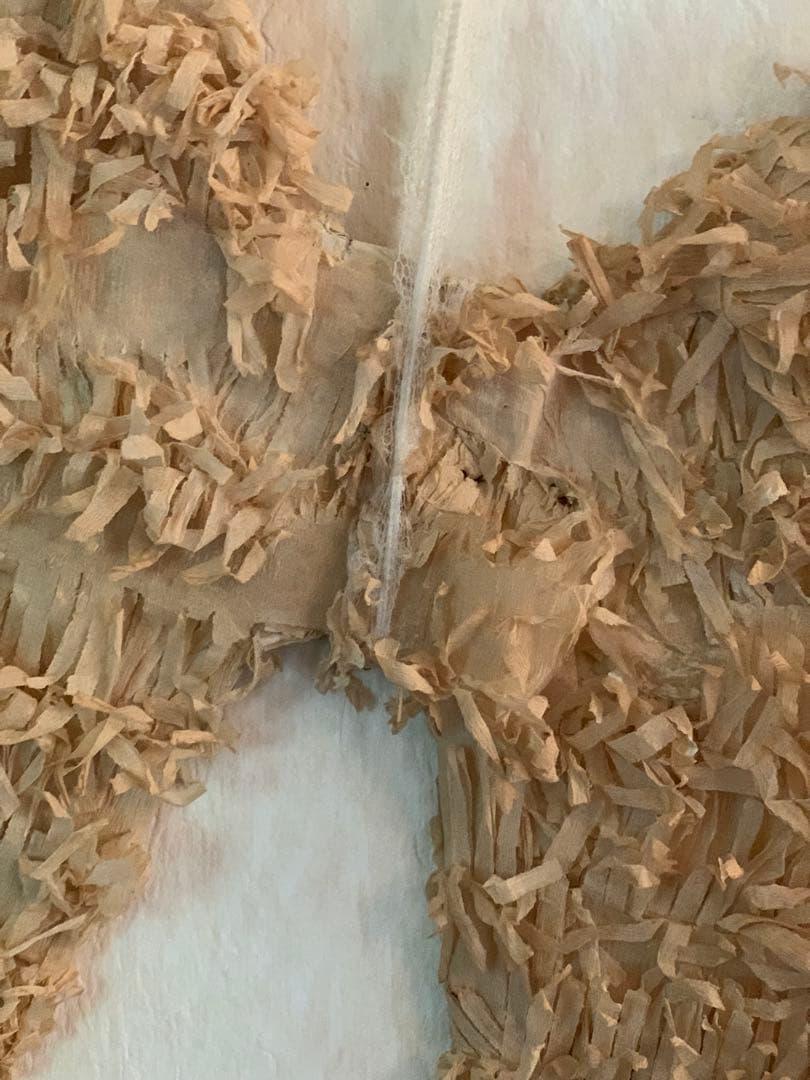 フランスアンティーク パピエの羽 オブジェ ブロカント