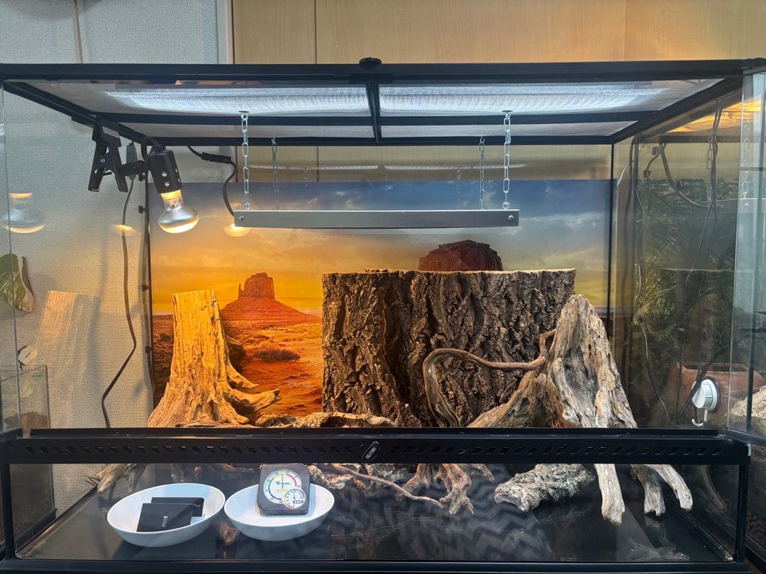 【使用僅か】グラステラリウム9060 爬虫類 飼育セット ライト 暖突 流木