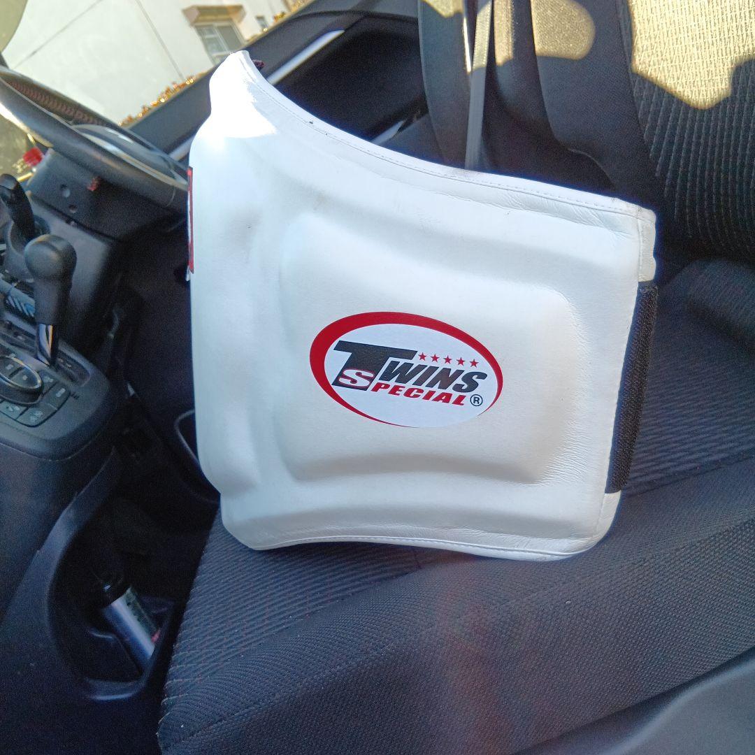 TWINS SPECIAL ボディー　ミット