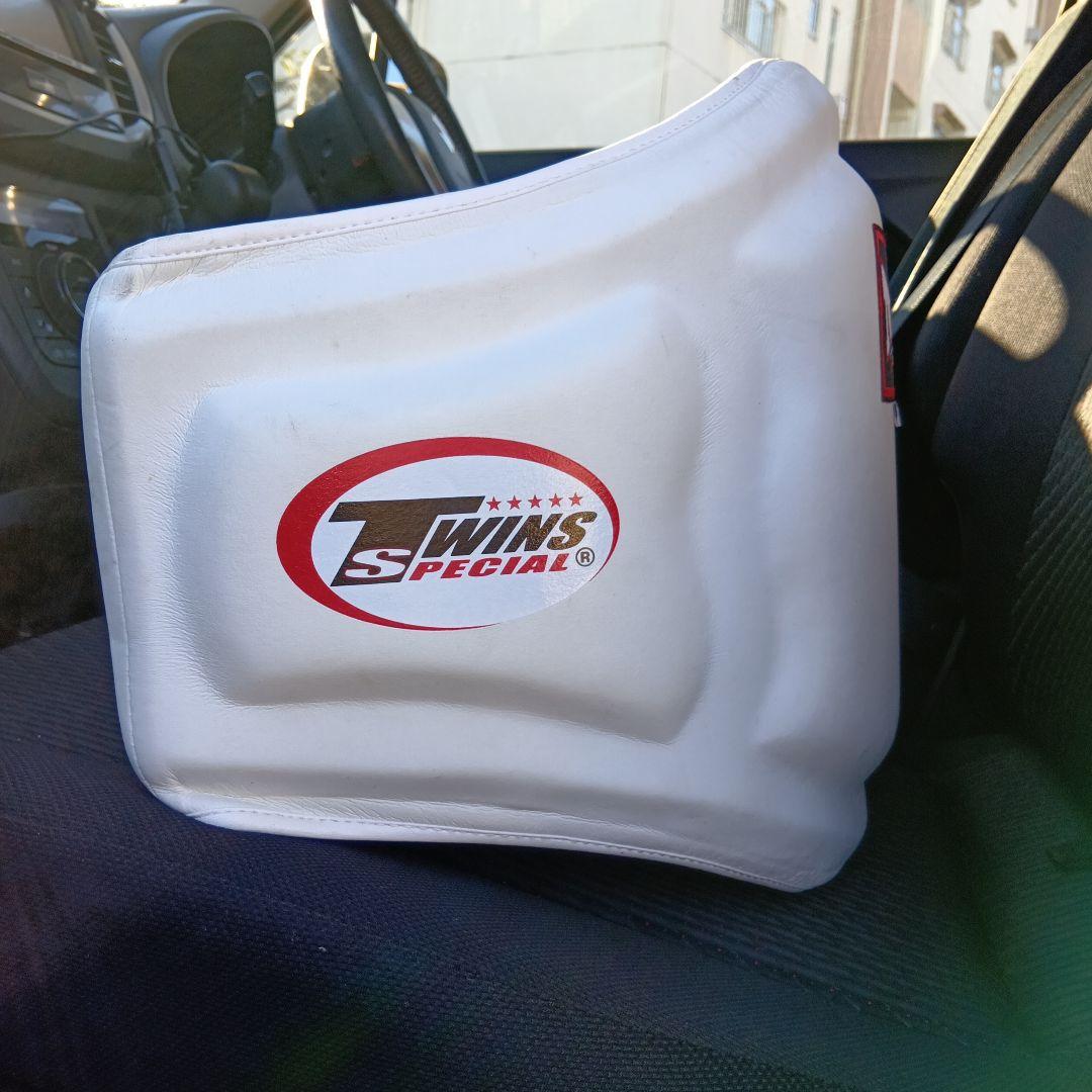 TWINS SPECIAL ボディー　ミット