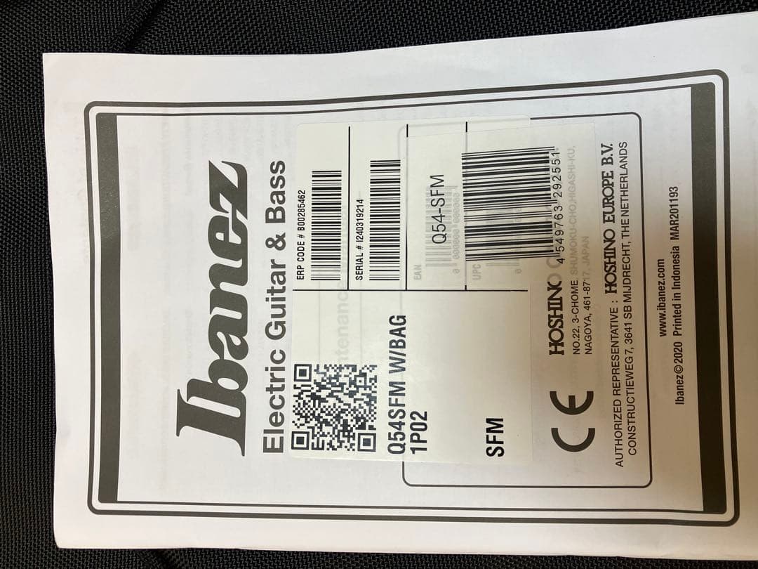 Ibanez G54SFM エレキギター SFMカラ