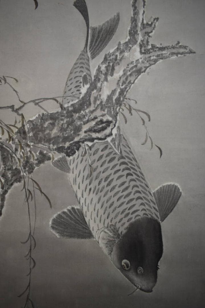 真作/谷口渓雲/柳に遊鯉図/鯉/桐共箱付/布袋屋掛軸A-138