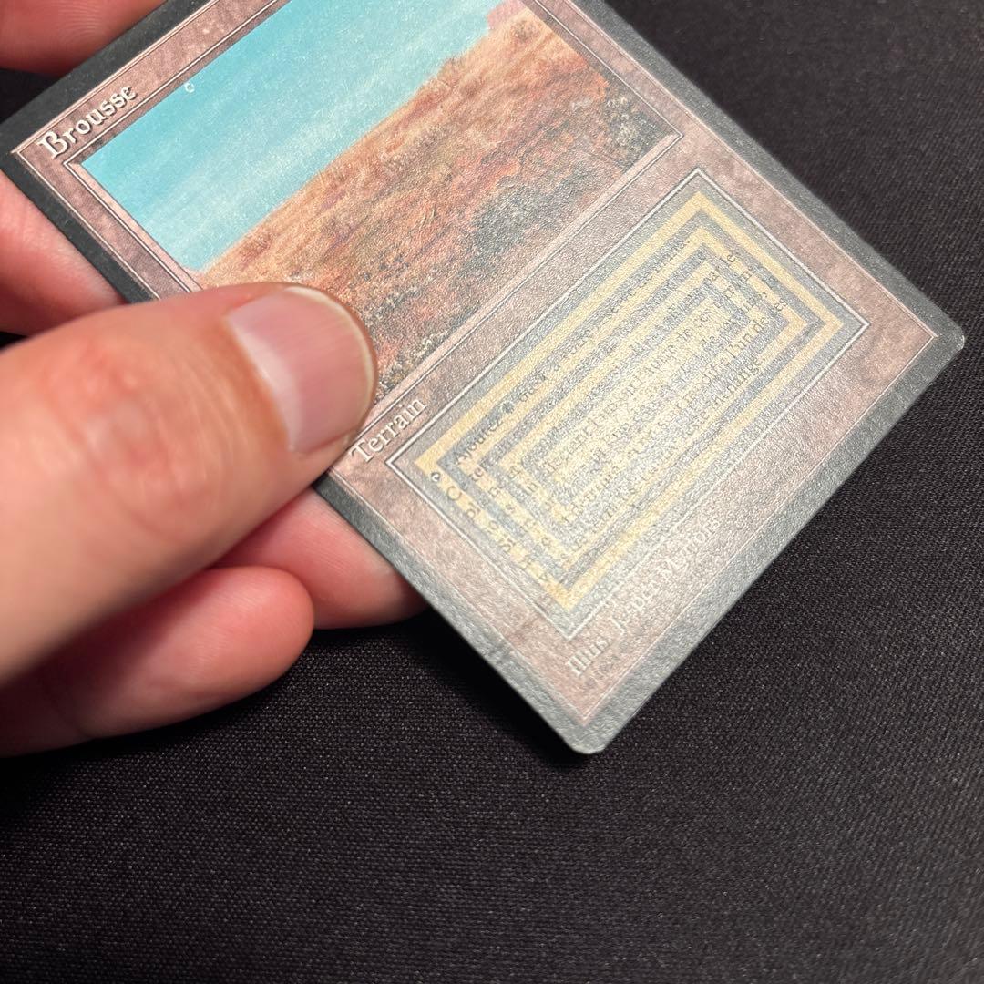 FBB Scrubland フランス語