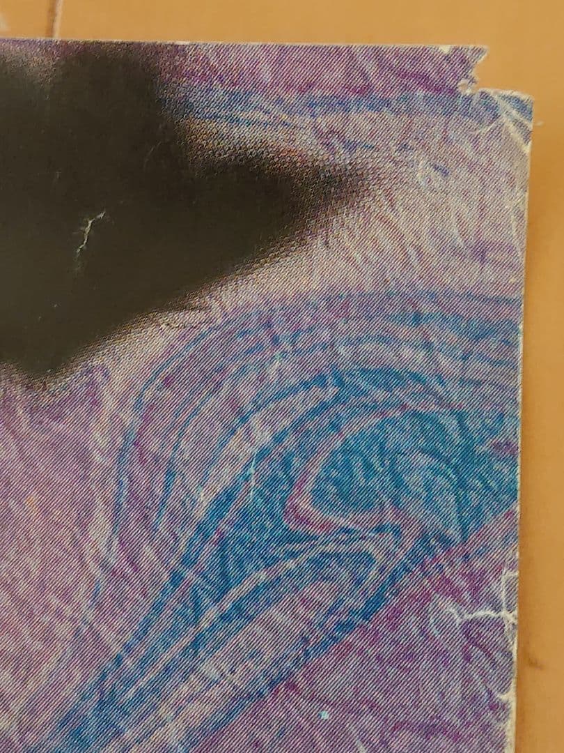 ☆ストリートスライダー JAG OUT ポスター Street Sliders☆