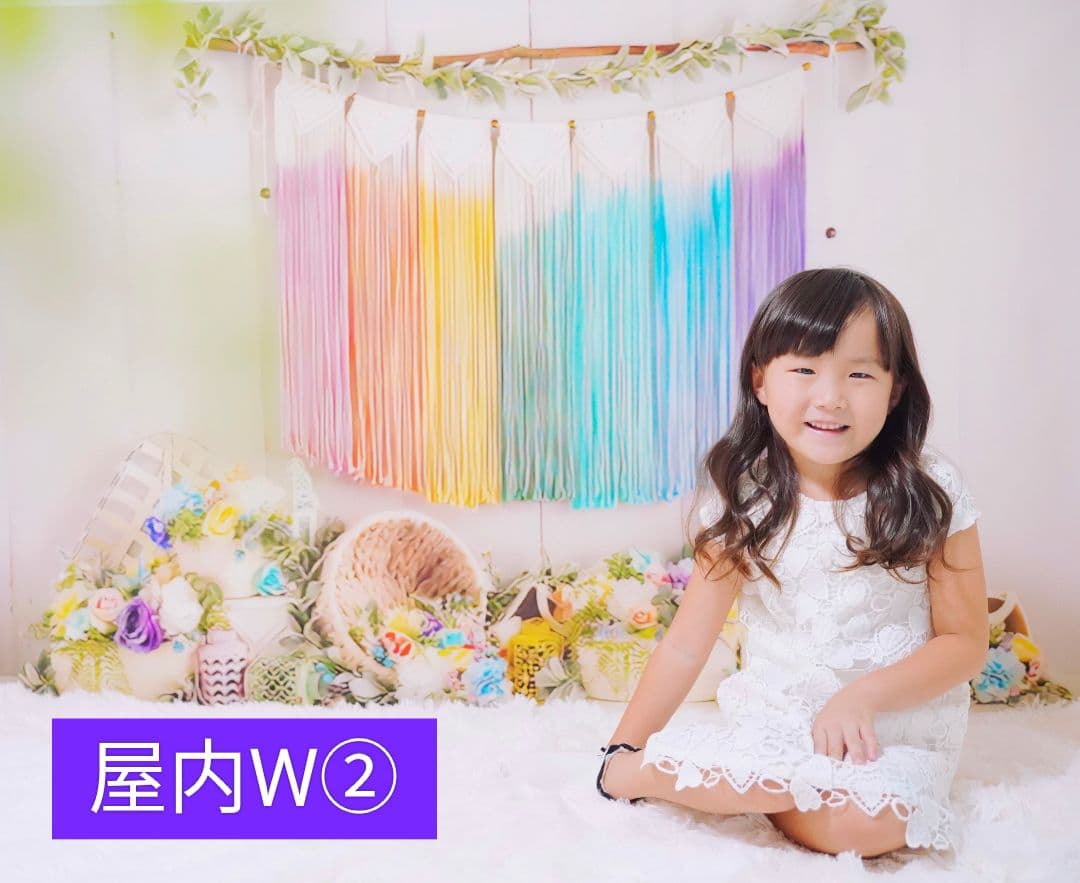 背景布×10枚+2枚プレゼント　ペット撮影用ブース　トリミングチョーカーも販売中