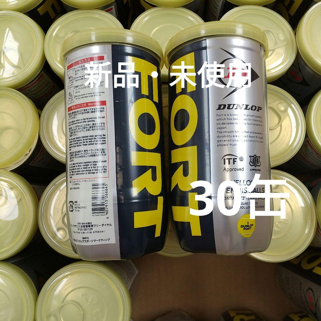 ☆DUNLOP☆ダンロップ☆フォート☆硬式☆テニスボール☆30缶