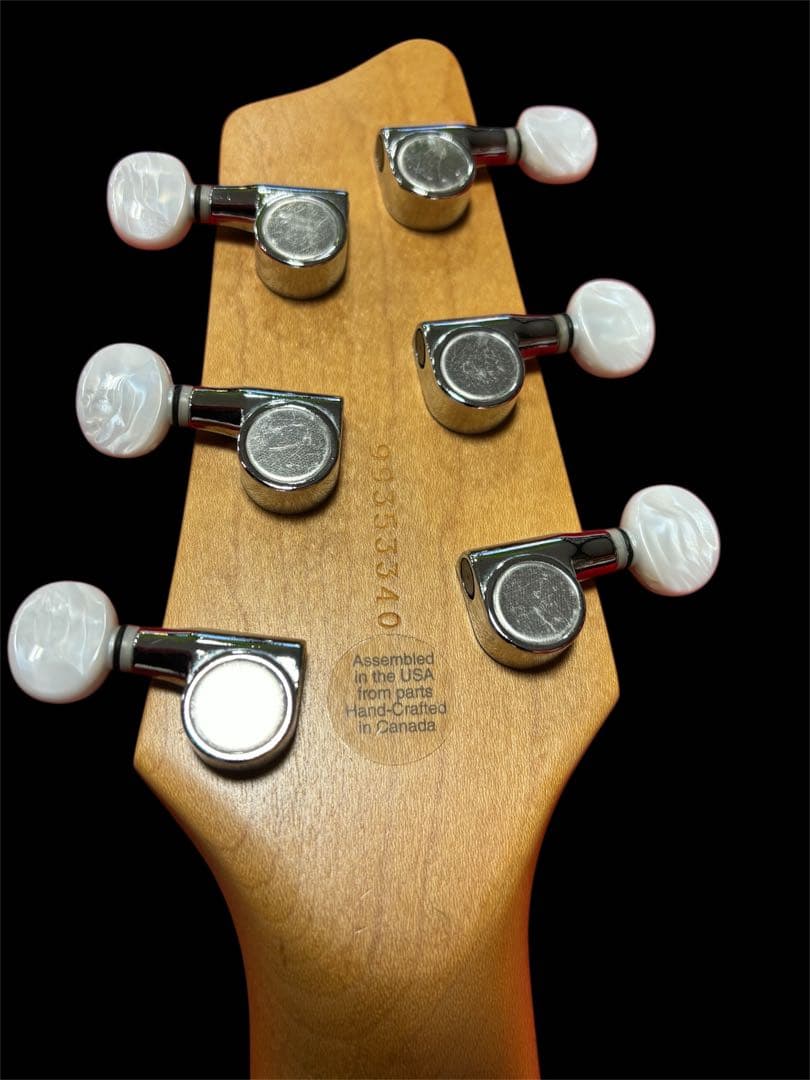 Godin エレキギター