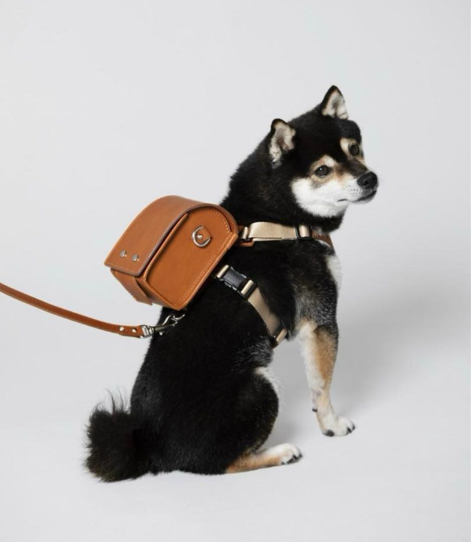予約限定品ペットランドセル　大谷翔平選手の愛犬デコピン　土屋鞄　HC1101BR