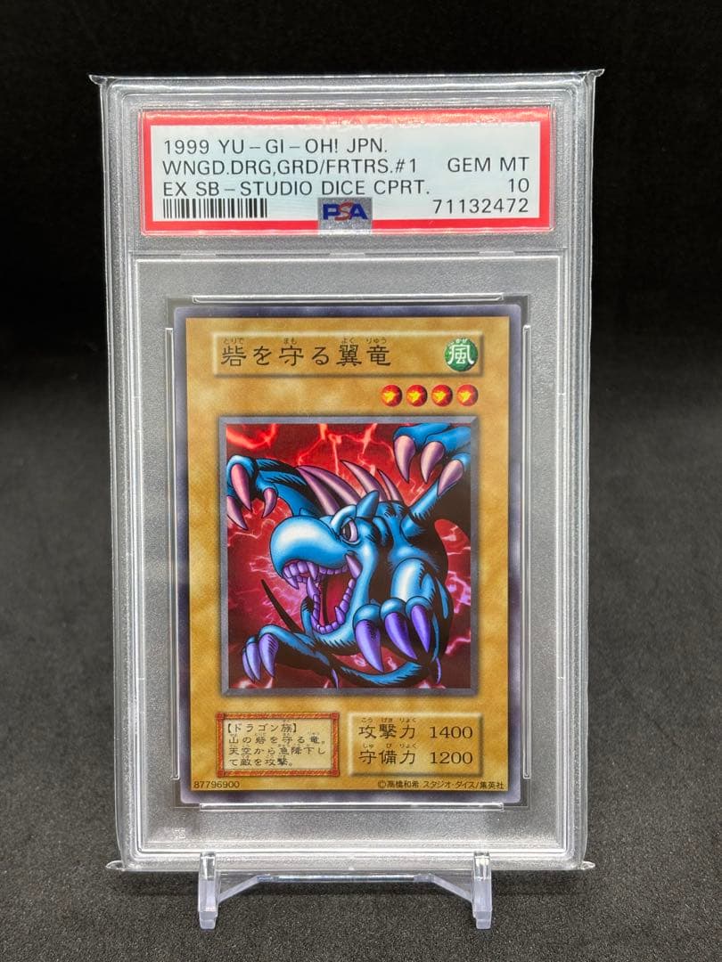 砦を守る翼竜　スタジオダイス　初期　PSA10