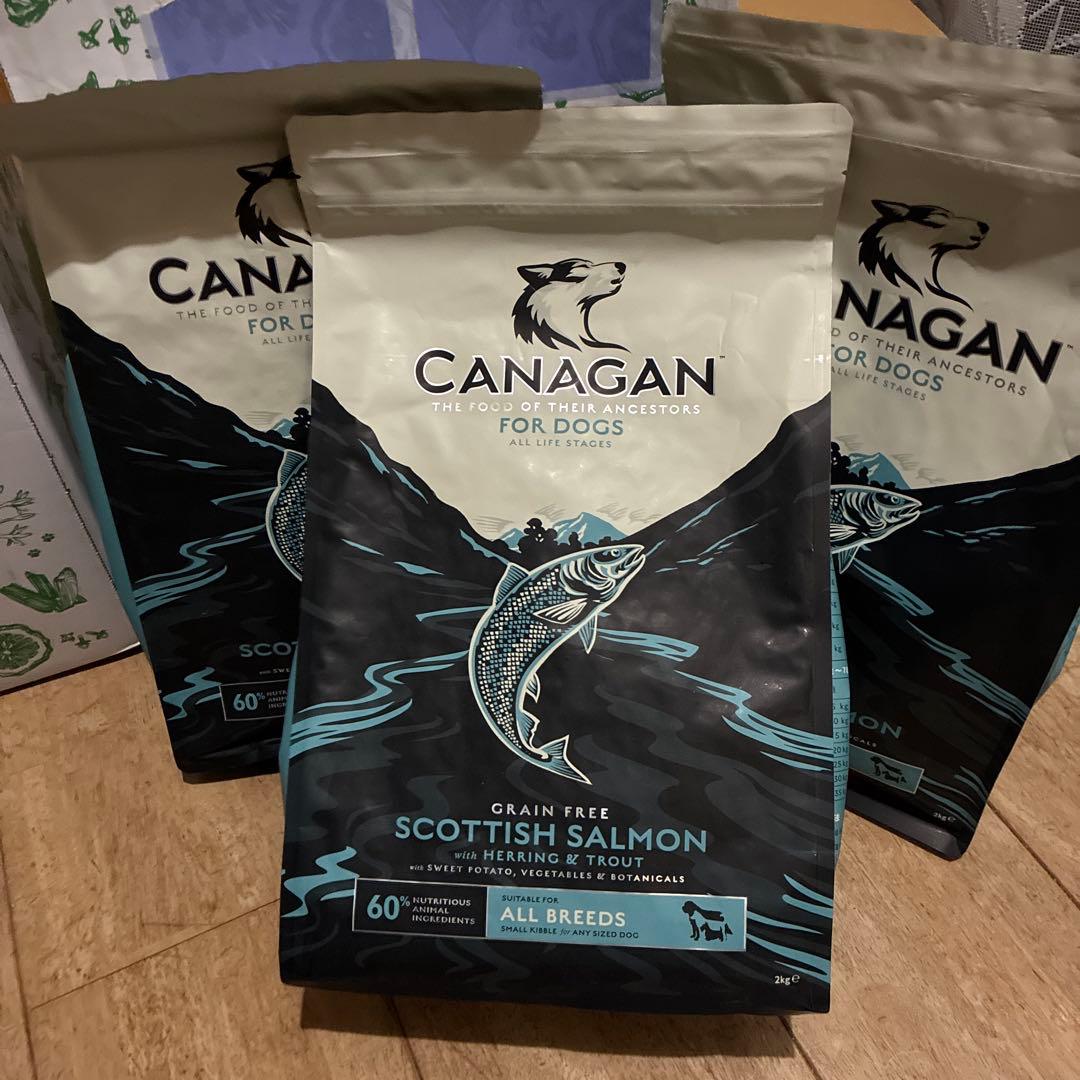 カナガンドッグフードサーモン2k✖️3袋　②
