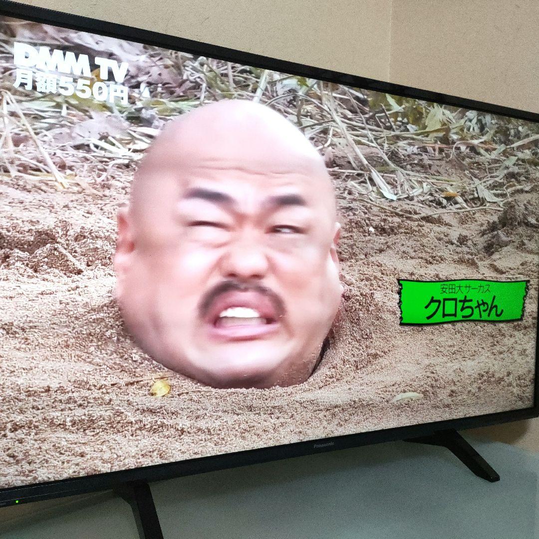 Panasonic[2019年製品]TH-43FX500