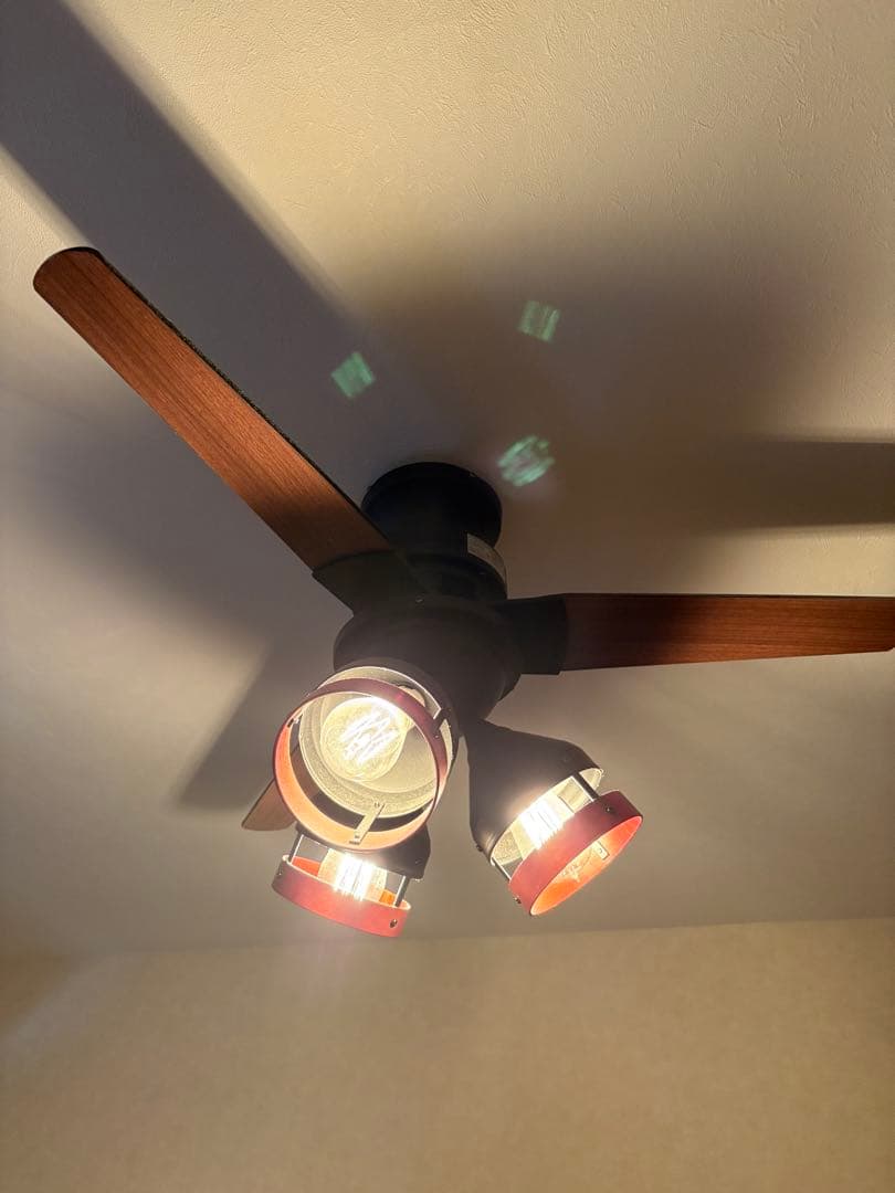 シーリングファンライト