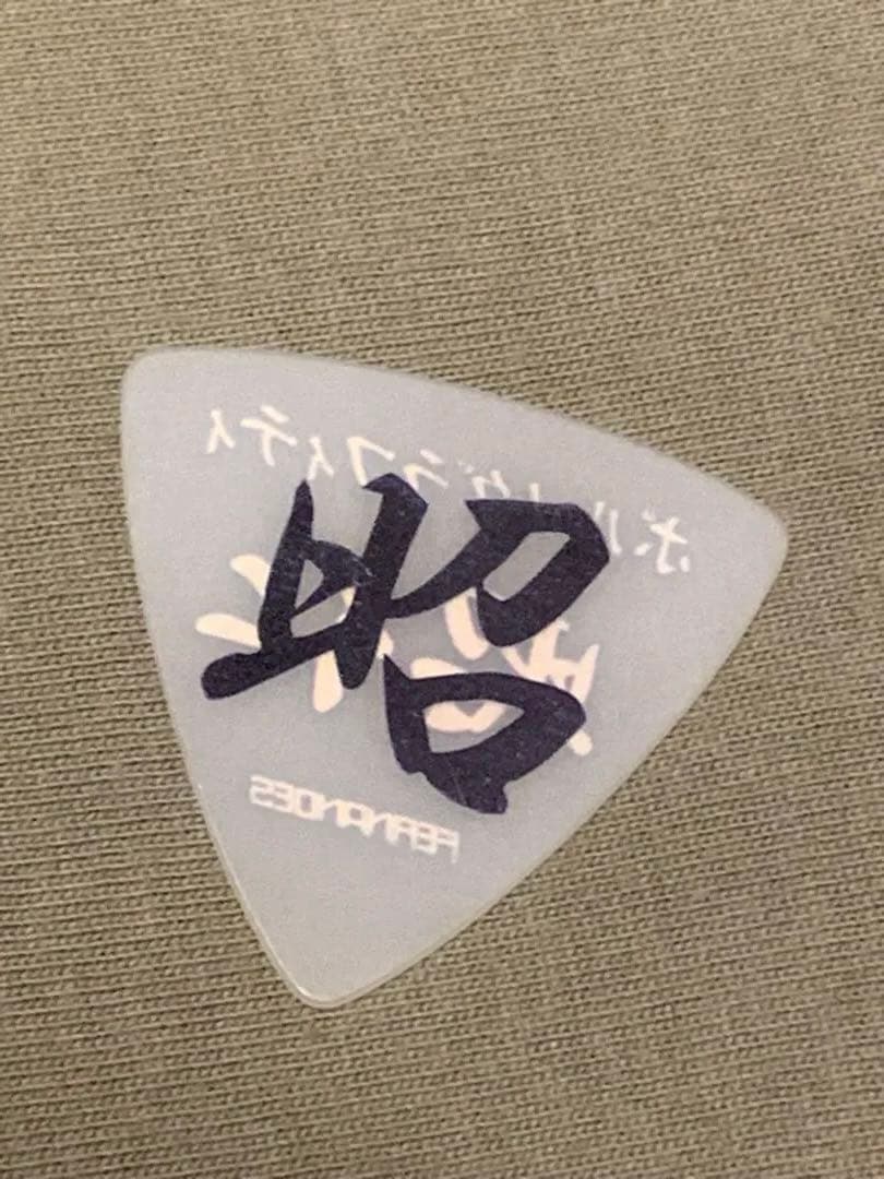 ポルノグラフィティ 岡野昭仁 ピック