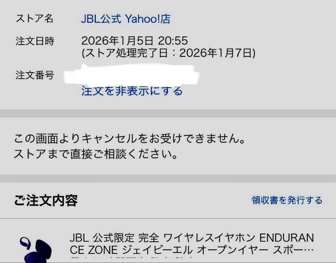 JBL 公式限定 完全 ワイヤレスイヤホン ENDURANCE ZONE
