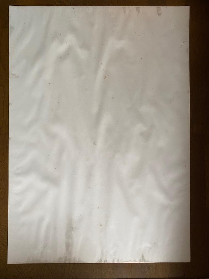 ジャンルー・シーフ　1994年大型ポスター　直筆サイン入り　貴重