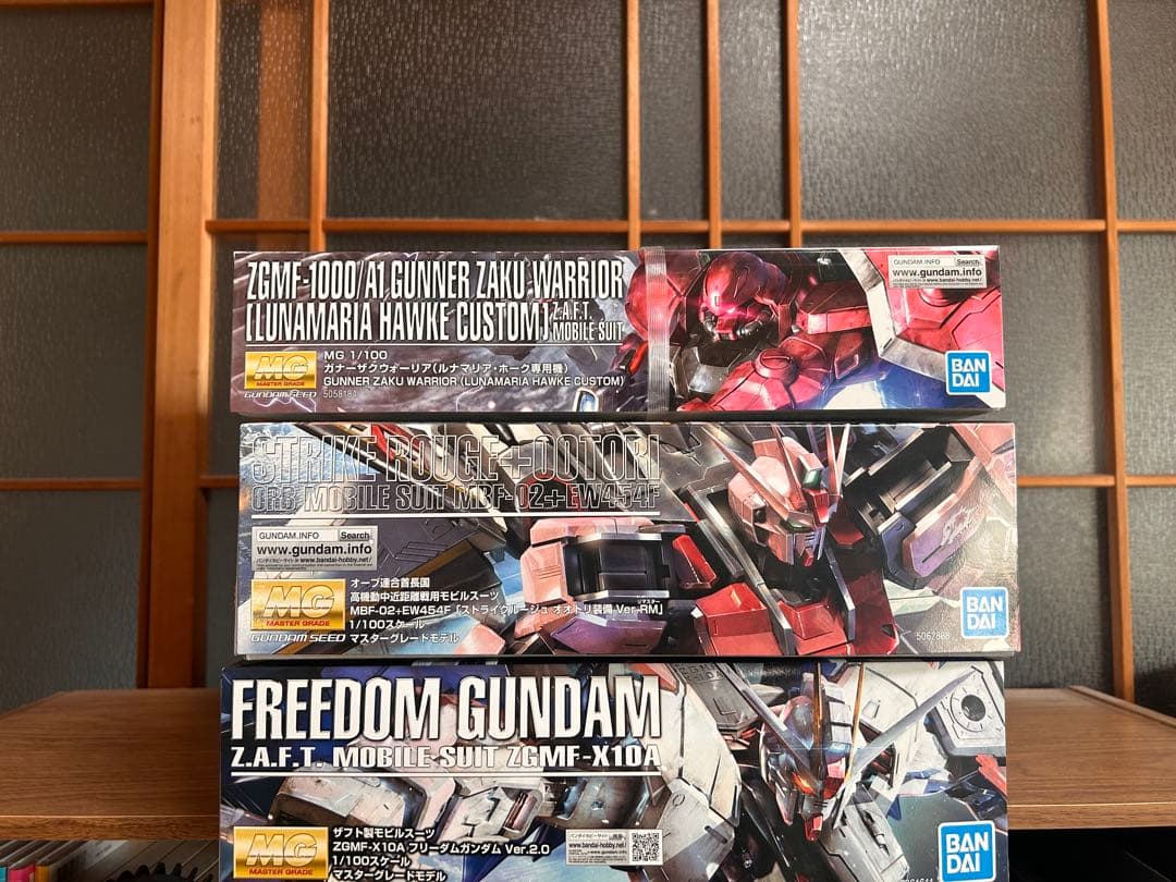 ガンプラ MG ガナーザクウォーリア フリーダムガンダム ストライクルージュ