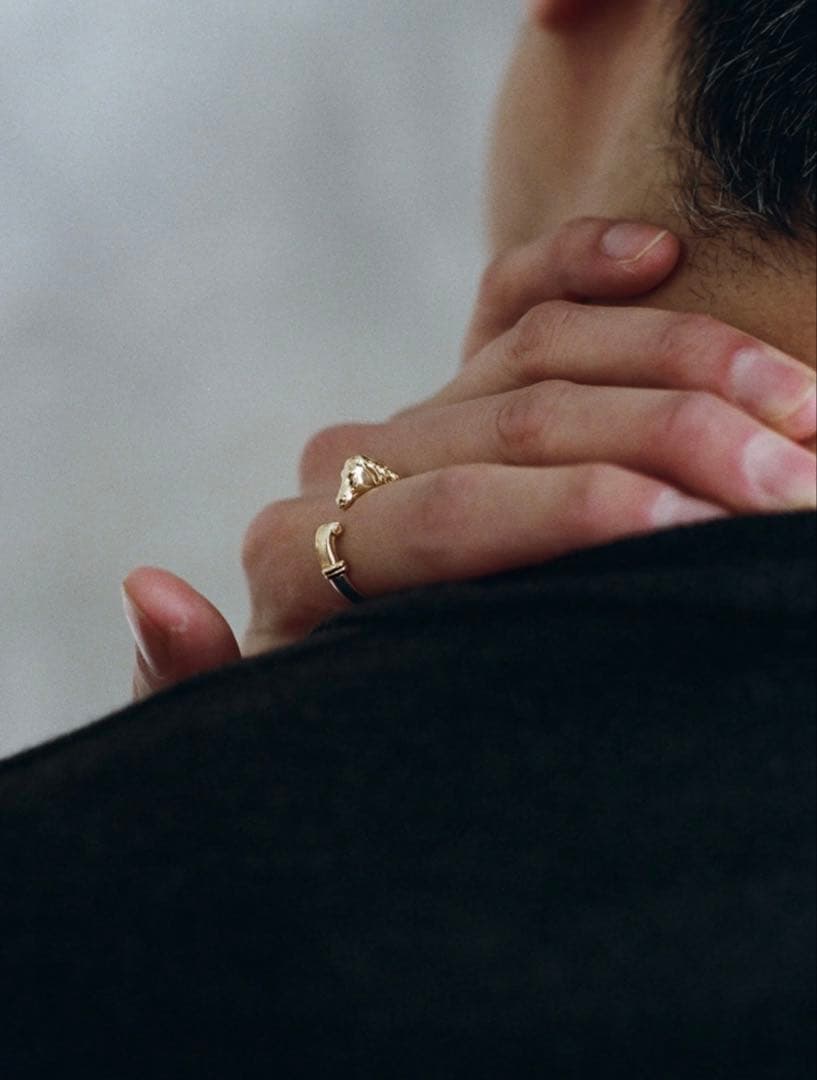 【Llife】CHEVAL RING 18号