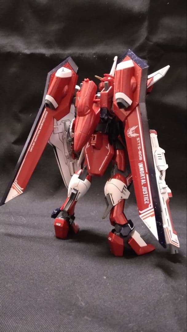 HG 1/144 イモータルジャスティス　完成品ガンダム