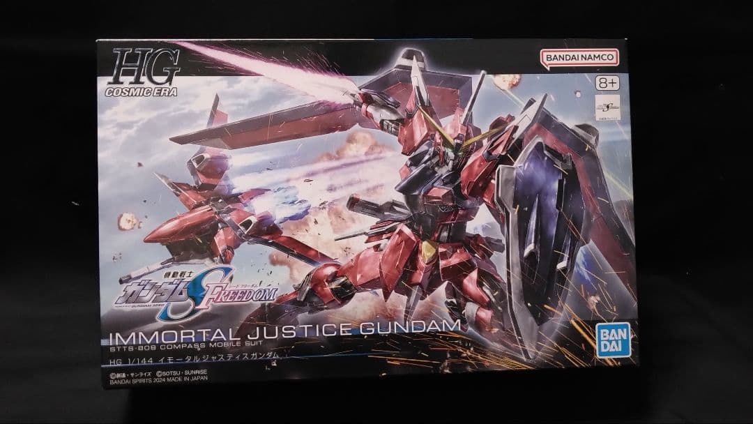 HG 1/144 イモータルジャスティス　完成品ガンダム