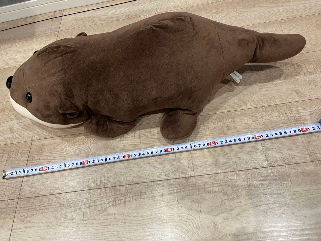 名古屋港水族館　南知多ビーチランド　スピードくじ　特賞　激レア