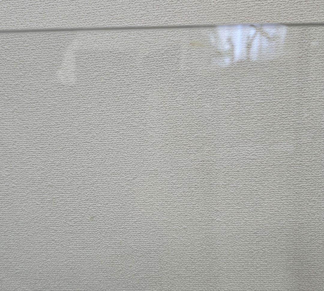 ADA キューブガーデン 60cm ハイタイプ水槽