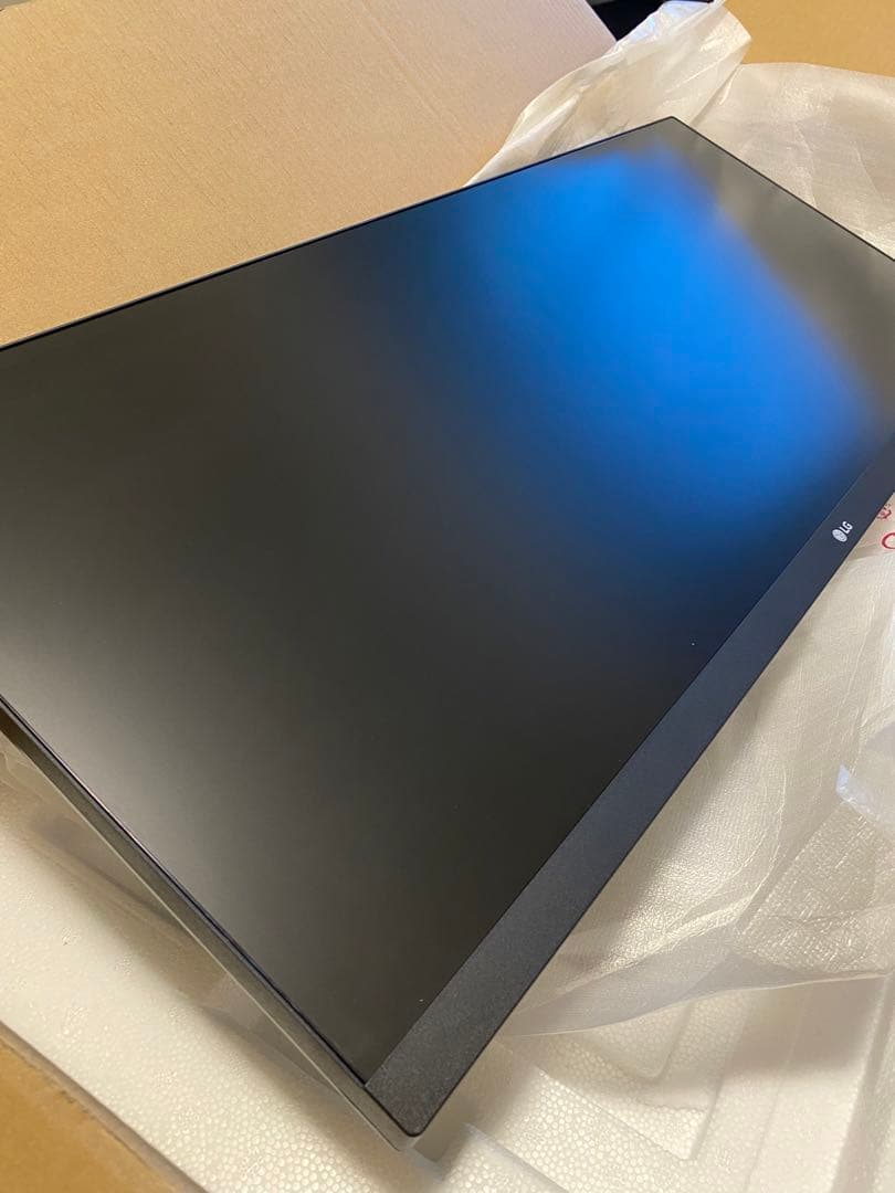 LG モニター ディスプレイ 29WL500-B 29インチ