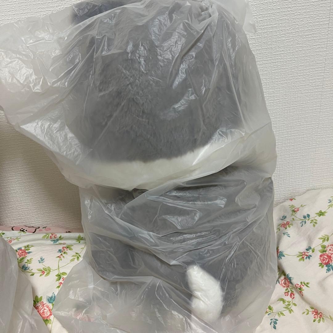 スキズ ペンミ 韓国 テディベア バンチャン ウルフチャン