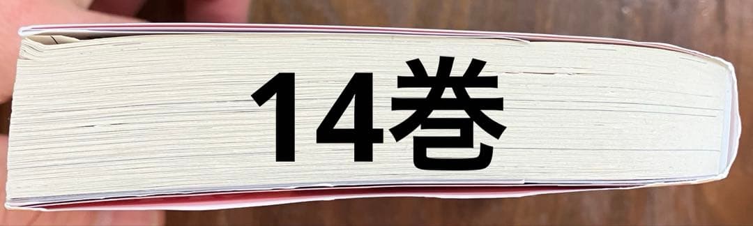 薬屋のひとりごと　1巻～16巻　全巻セット　ライトノベル　小説