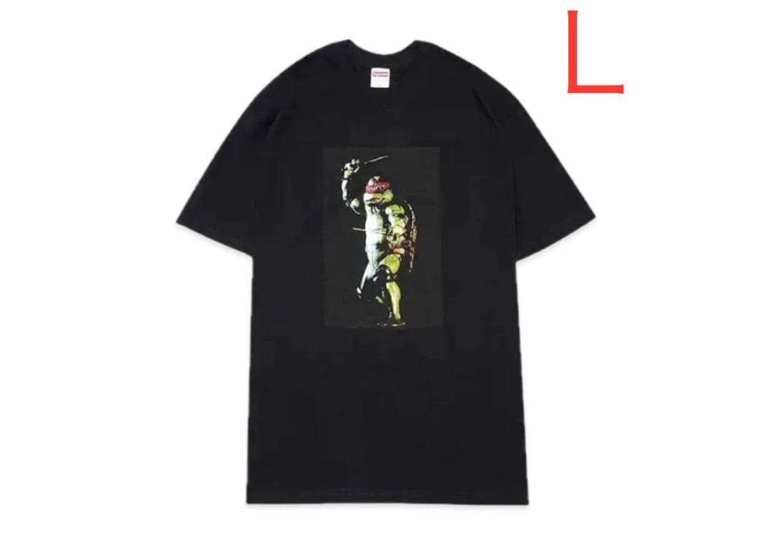 Supreme 21ss Raphael Tee Lサイズ