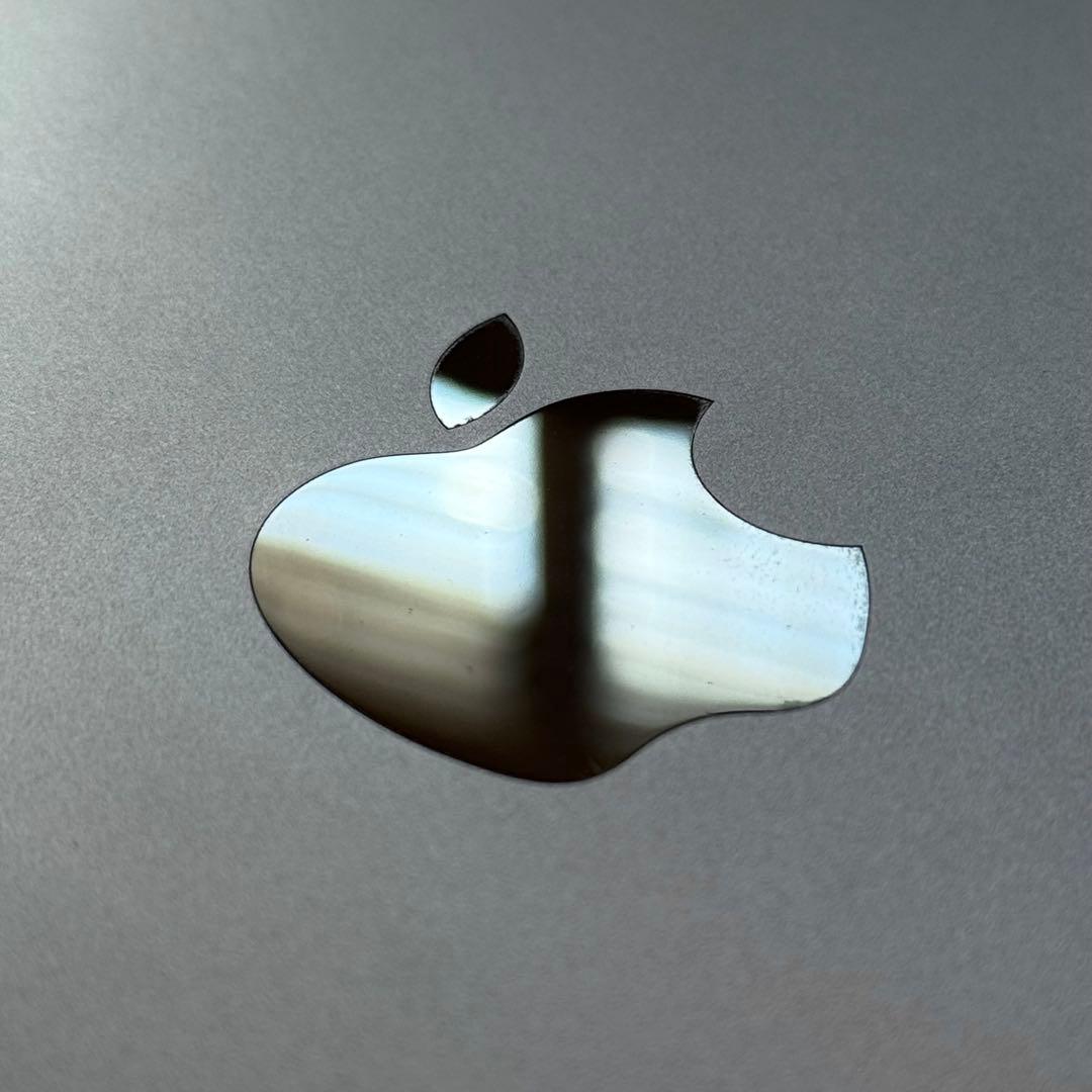 iPad Pro 12.9 inch (3rd) Cellular＋オマケ