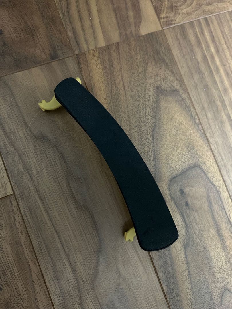 Reghin バイオリン　1/2