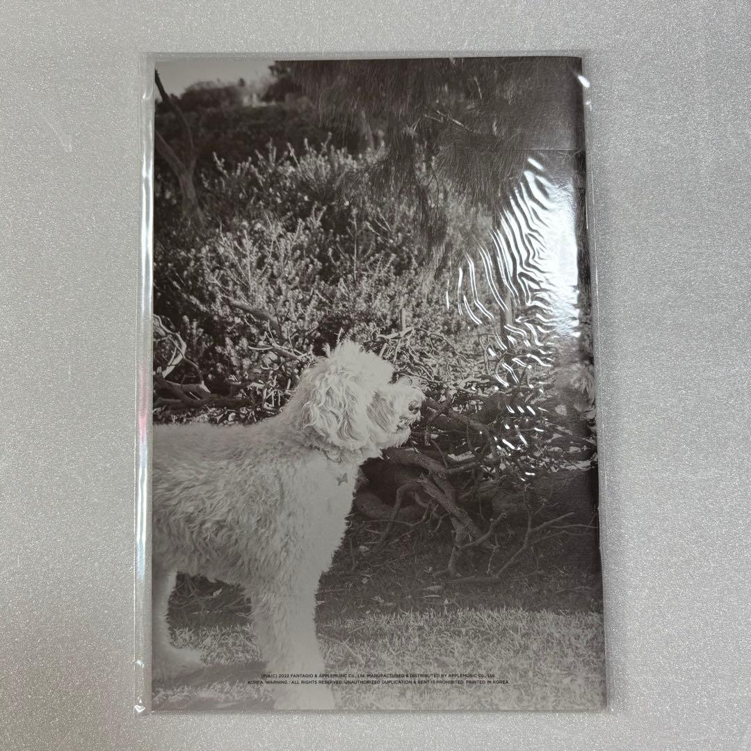 ASTRO ムンビン ユンサナ MAGAZINE トレカ 写真集 ①