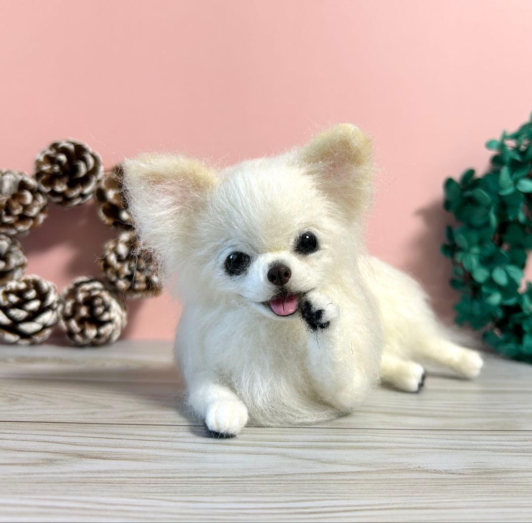 羊毛フェルト　毛づくろいチワワちゃん　10