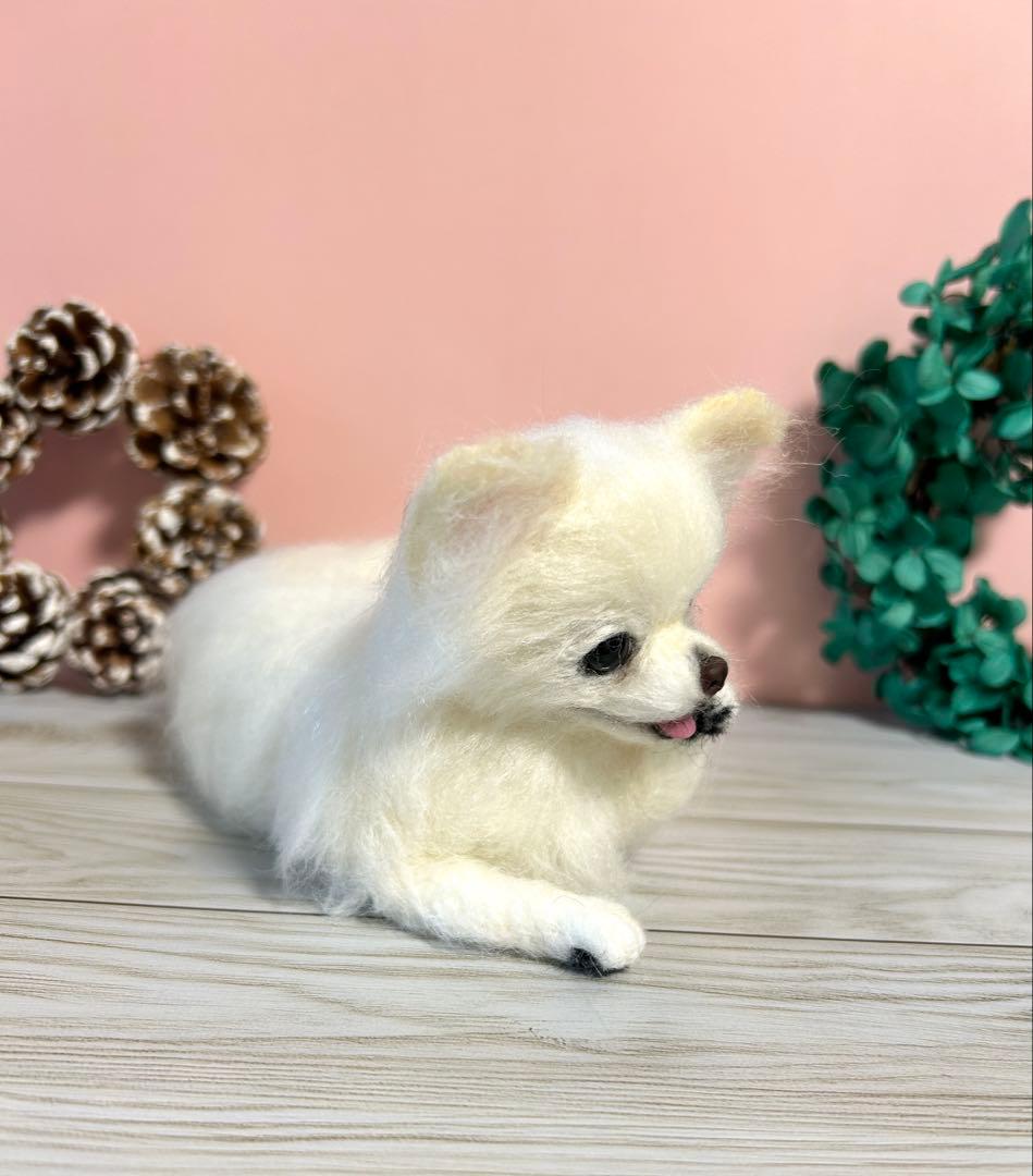 羊毛フェルト　毛づくろいチワワちゃん　10