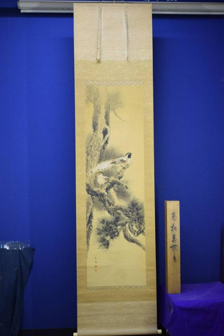 真作/今井景樹/老松珠帯鳥図/桐共箱付/布袋屋掛軸HD-720