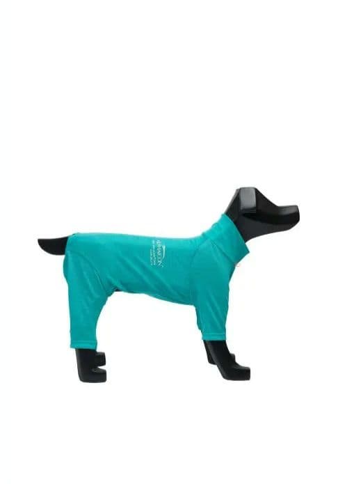 ALPHAICON 犬服 ドッグガードベース　ターコイズ MＬサイズ　試着のみ