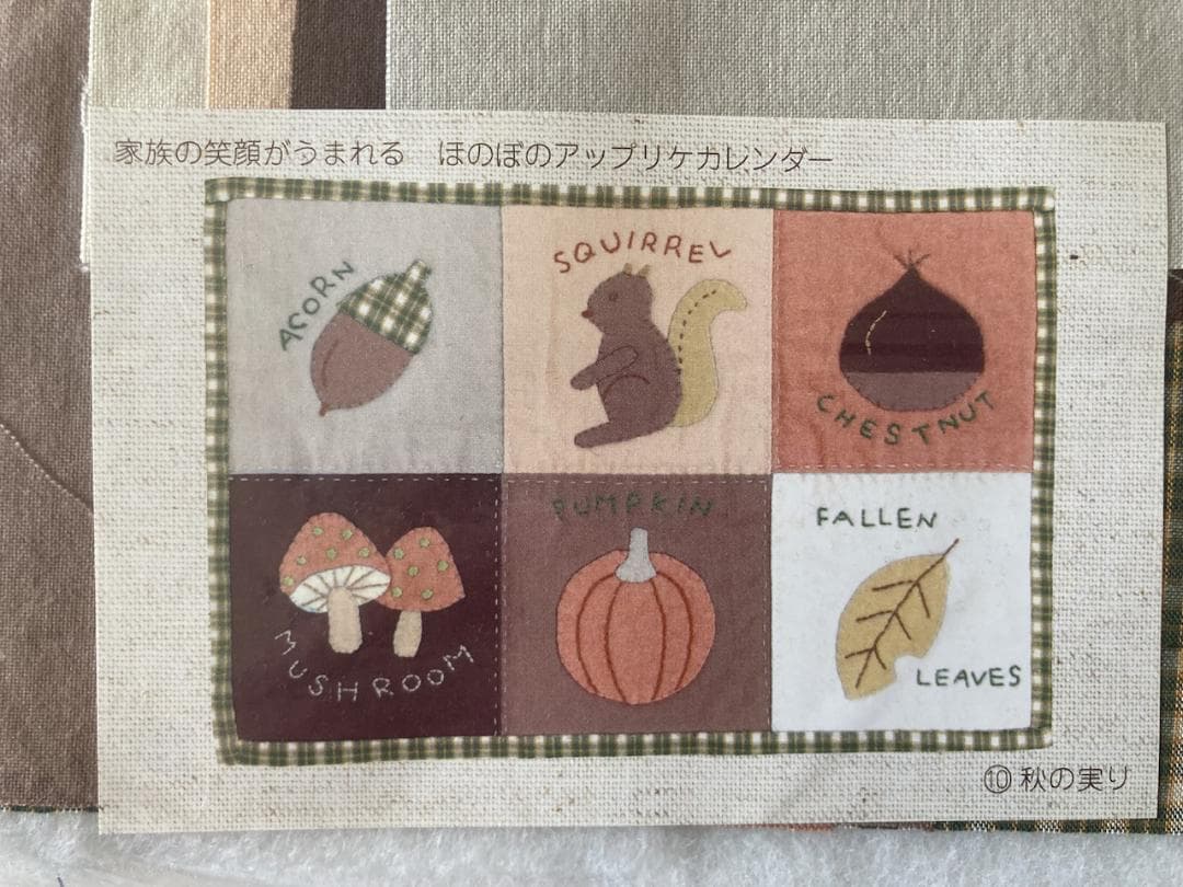 【未使用】フェリシモ「毎月使えるアップリケカレンダー」セット