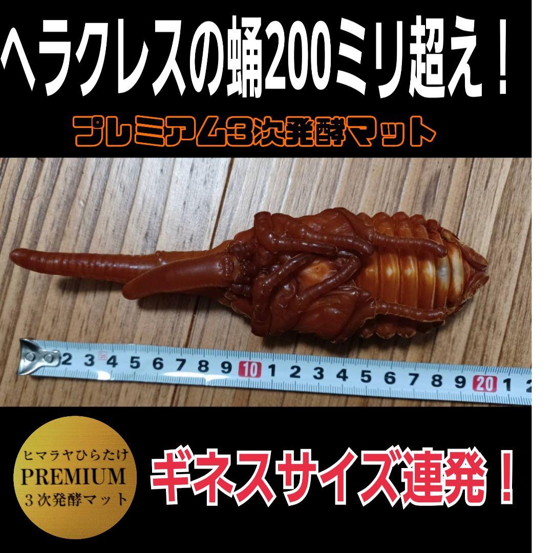 極上品！ヘラクレス181リミ羽化！プレミアム3次発酵カブトムシマット【100L】