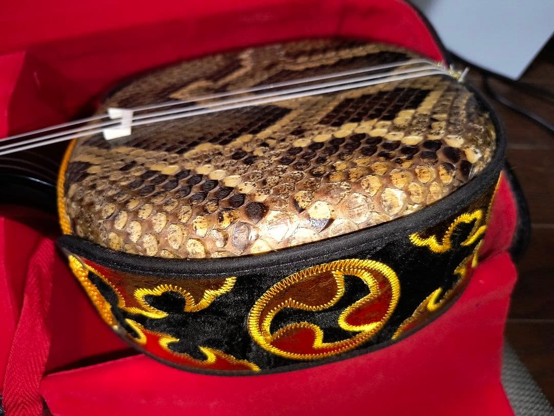 沖縄三線　 本革　 ケース黒　　蛇皮