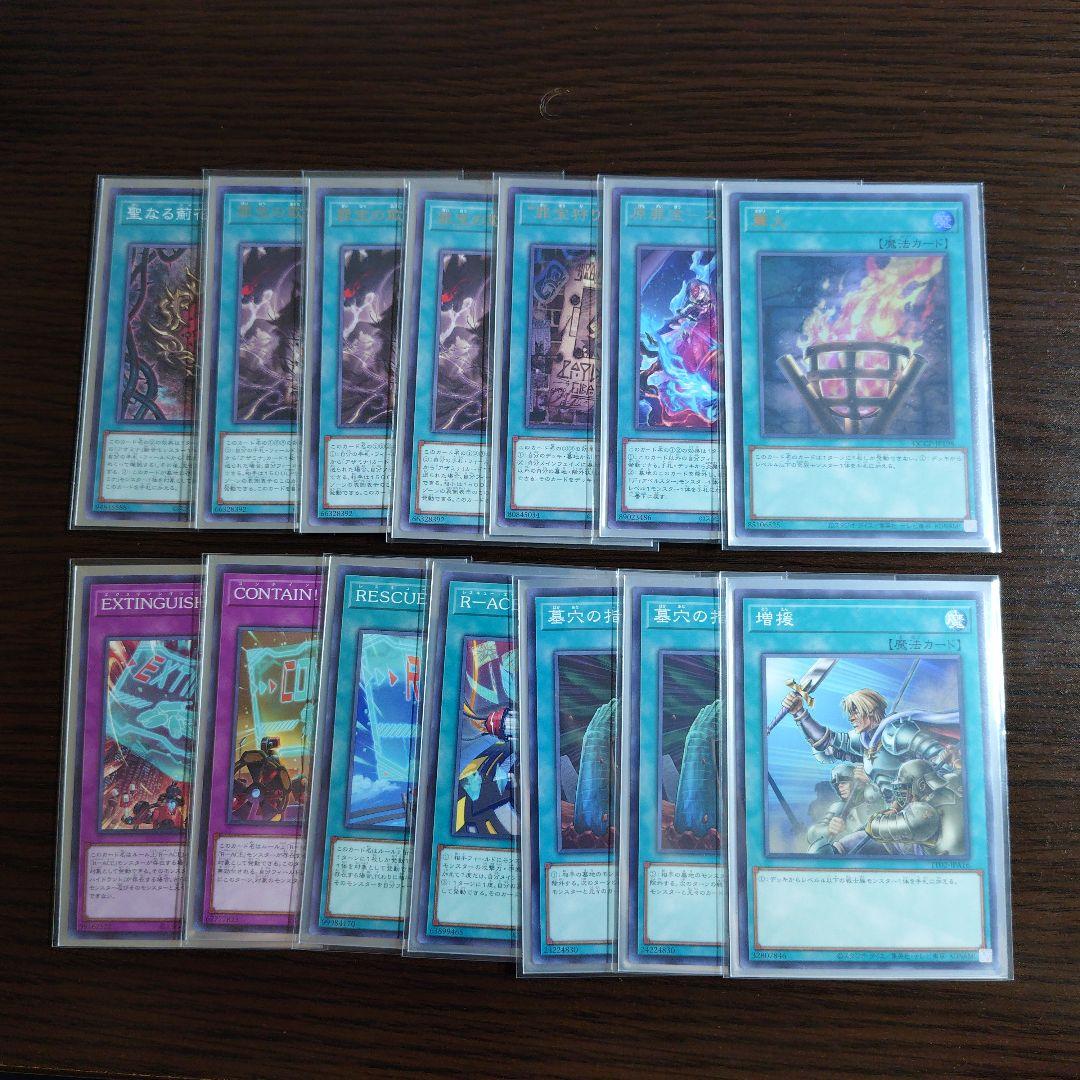 遊戯王【罪宝R-ACE】デッキ 賜炎の咎姫 スリーブ付.