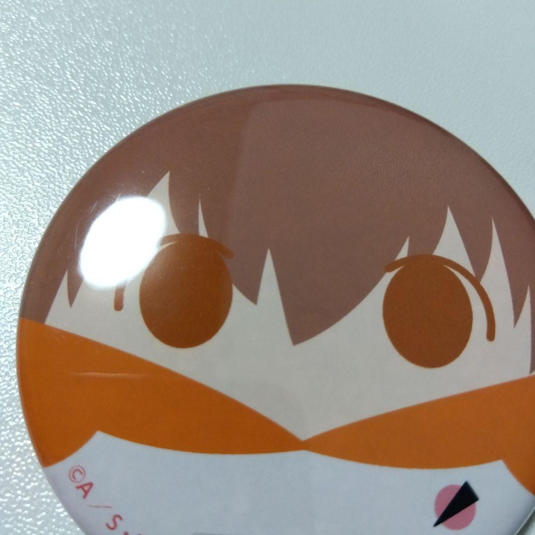 【REBORN!】沢田綱吉 ツナ たまっぷ 缶バッジコレクション リボーン