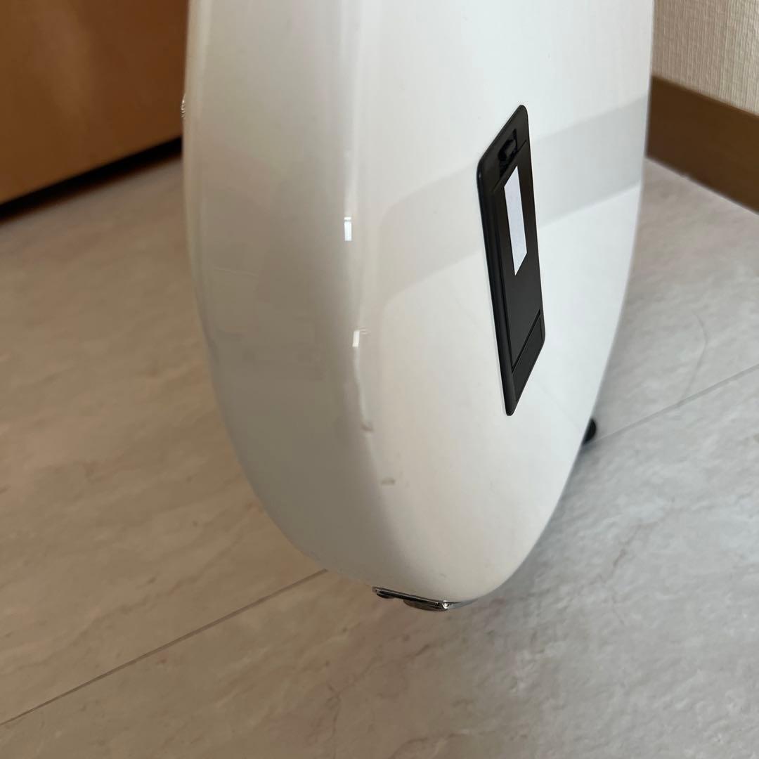 Sterling by MUSIC MAN Ray34 ベース