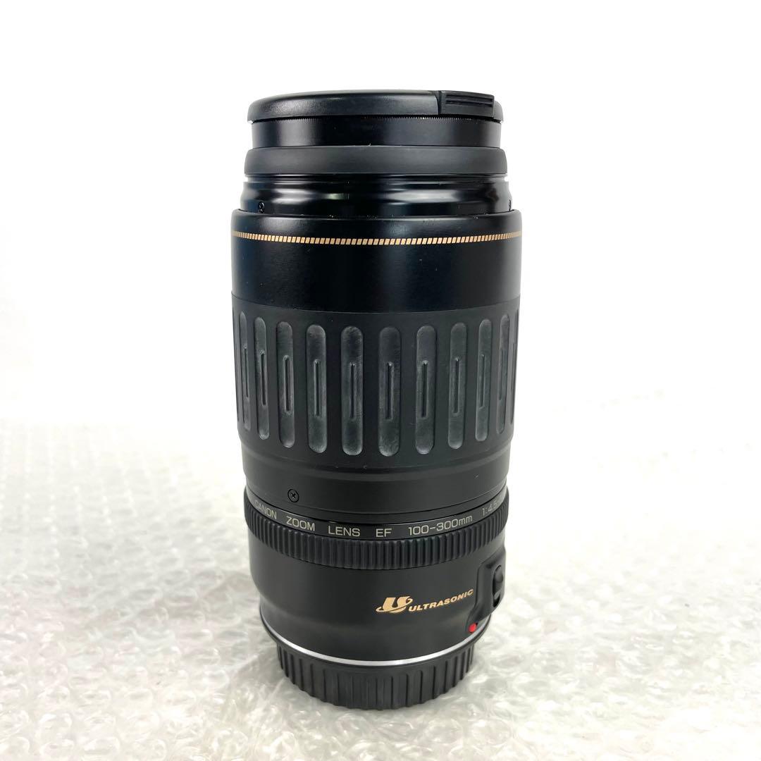 キャノン ULTRASONIC EF 28-105mm/100-300mm