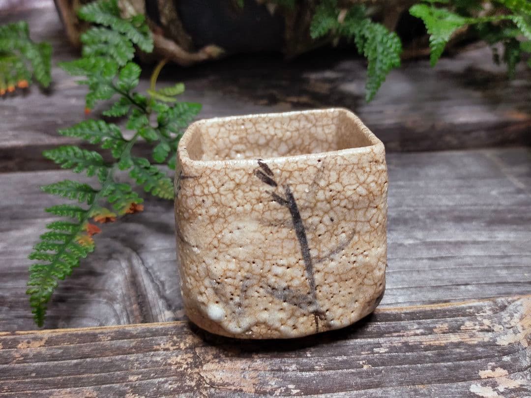 ♥絵志野　ぐい呑み　桐箱付き　⑳　志野　ぐい飲み　骨董品