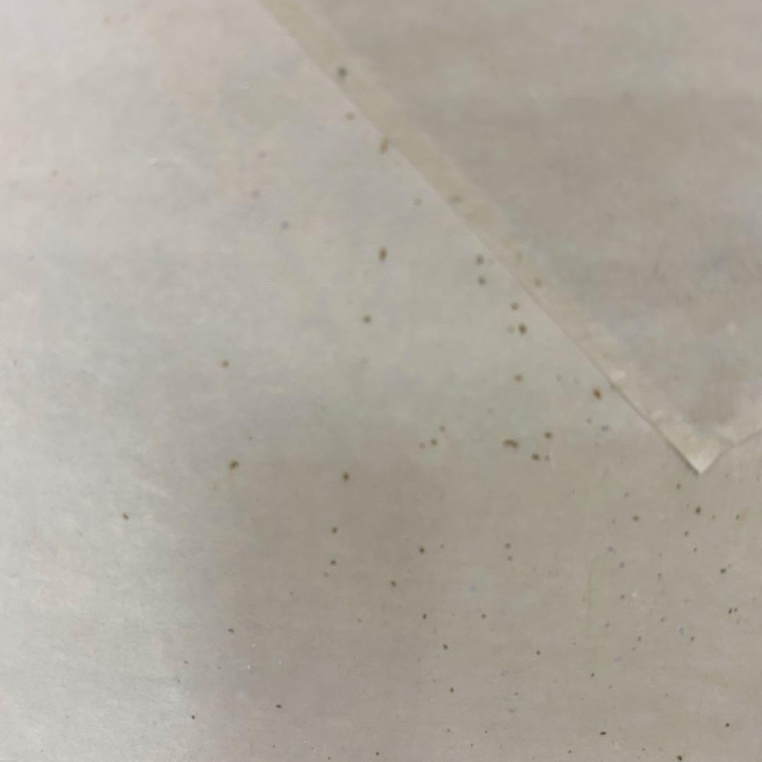 鵬雲斎扇面横軸「寿」　茶道具懐石茶箱坐忘斎淡々斎即中斎而妙斎棗水指茶碗茶香合棗