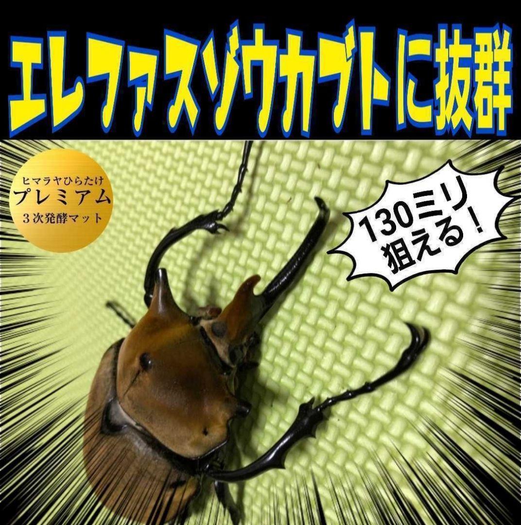 ヘラクレスに抜群！プレミアム3次発酵カブトムシマット【たっぷり60リットル】