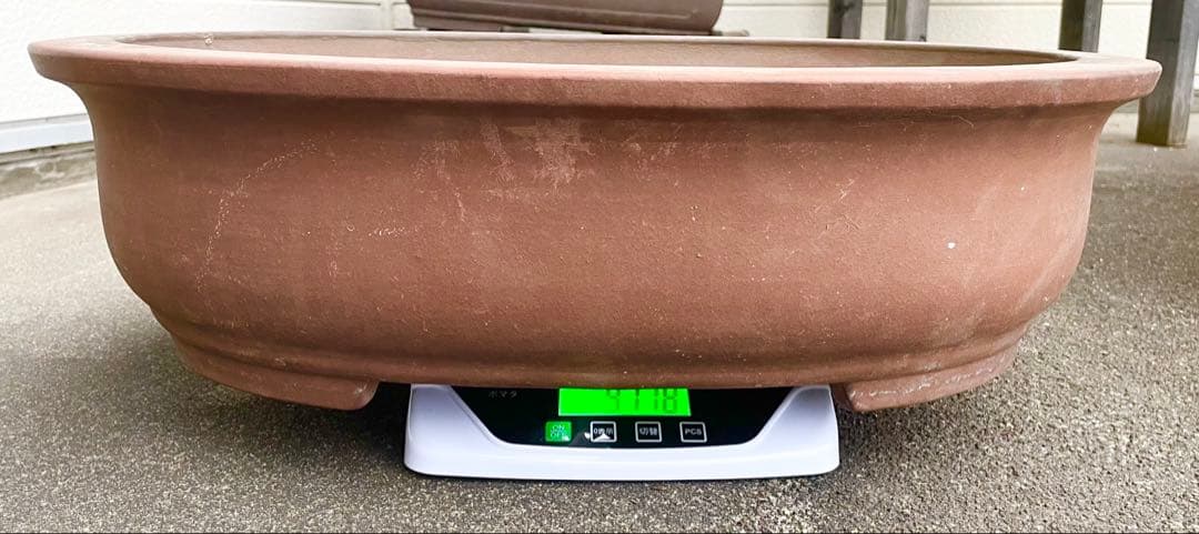 盆栽　鉢　57cm　板山　大型　特大