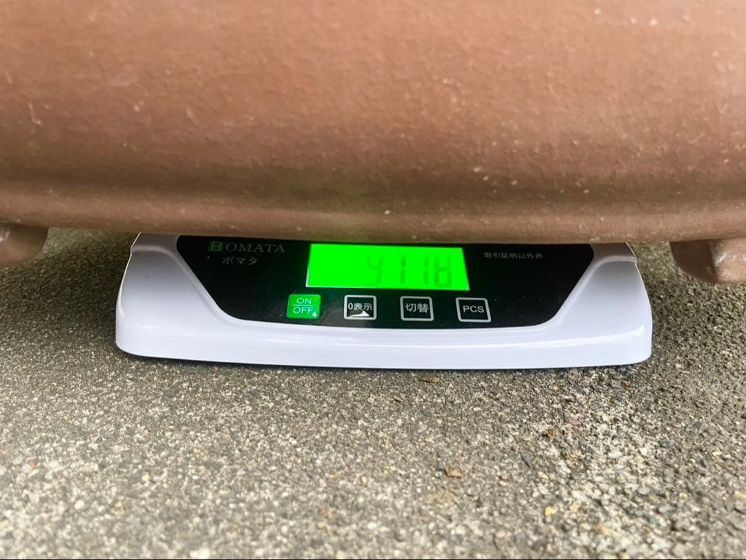 盆栽　鉢　57cm　板山　大型　特大