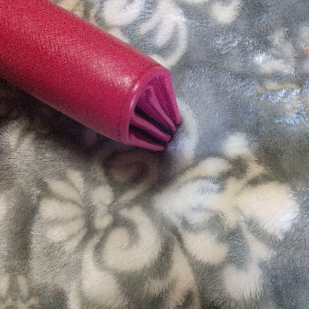 PRADA サフィアーノメタルロゴ レッド系